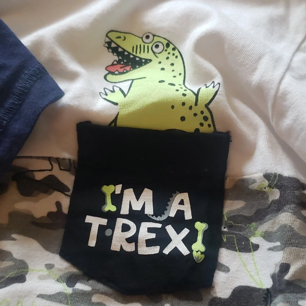 5 European Short sleeves 100% cotton Boy's Dinosaurs Tops Size 3/4